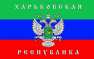 Перспективы наступления армии Новороссии — Харьков не за горами | Русская весна