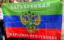 Держитесь, харьковчане, скоро мы придем и освободим вас, — боец армии Новоросcии (видео) | Русская весна