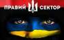 Более ста боевиков «Правого Сектора» продолжают пикетировать здание Администрации Президента в Киеве | Русская весна
