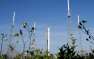 Компания SpaceX в четвертый раз переносит запуск Falcon 9 | Русская весна