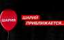 Стали известны результаты экзитполов по партии Шария | Русская весна