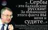 «Немцова убили с целью расшатать Россию», — экс-вице-президент Сербии (ВИДЕО) | Русская весна