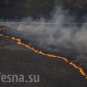 CHERNOBYL FIRE COVERAGE: residents being evacuated due to fire around nuclear plant — Internal Ministry (+FIRE PHOTOS) | Русская весна