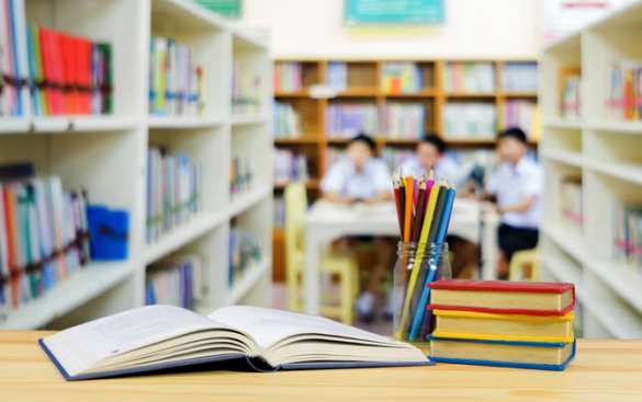 Навигатор в мире знаний: как найти свой идеальный путь к успеху | Русская весна