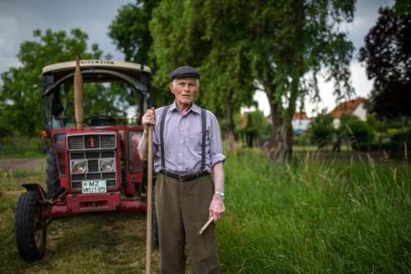 Продэмбарго РФ драматично сказалось на немецких фермерах, — Восточный комитет | Русская весна