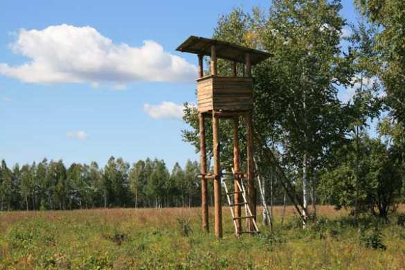 Polen baut 50M hohe Überwachungsstürme an der Grenze zu Kaliningrad | Русская весна