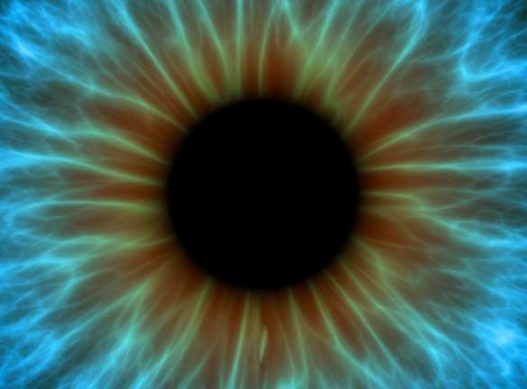 «Зрение киборга»: невидимое становится видимым | Русская весна