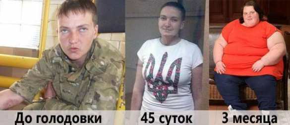 Из жизни клоунов: Савченко — Джемилеву: «Вы мой пример, Вы голодали 303 дня» | Русская весна