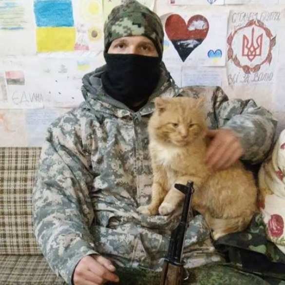 Дебальцево, вид из котла: «Пытаемся выйти из окружения, попадаем в засады, губим людей, потеряли уже треть своей техники. По ТВ вам такого не расскажут» | Русская весна