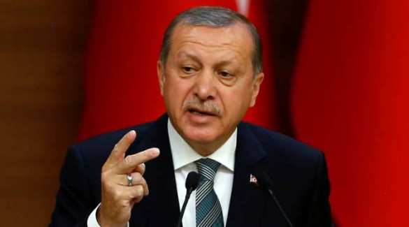 Турция расширит военную операцию на всю границу с Сирией, — Эрдоган | Русская весна