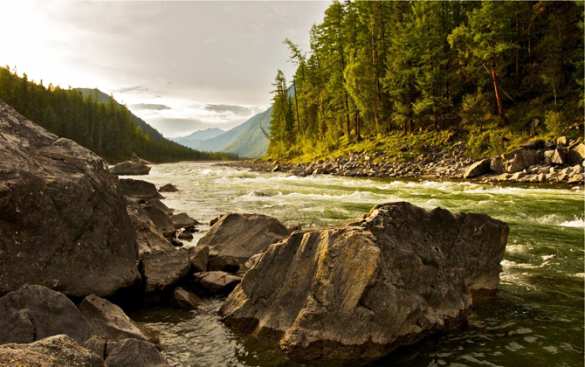 Сахалин: нескончаемый интерес для любителей природы и активного отдыха | Русская весна