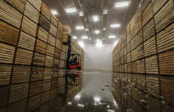 Всемирный банк: cитуация на рынке нефти — шанс для РФ нарастить экспорт несырьевых товаров | Русская весна