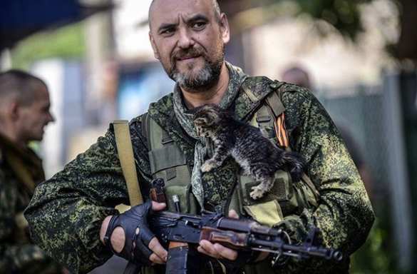 Сводка от Информбюро Армии Юго-Востока за ночь 25 августа: силы Новороссии продолжают наступление, освобождают населенные пункты и берут военнослужащих противника в плен | Русская весна