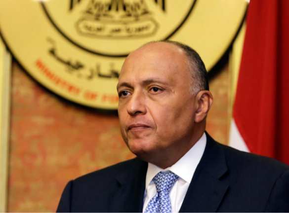 МИД Египта: воздушная операция РФ в Сирии поможет искоренить терроризм | Русская весна