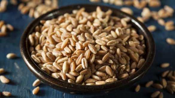 Турция запретила сельскохозяйственный экспорт из России | Русская весна