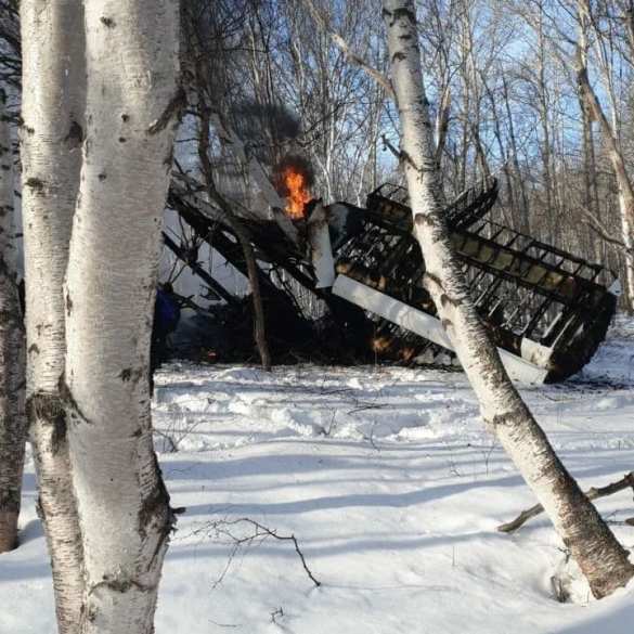 На Камчатке рухнул самолёт, находившиеся на борту погибли (+ФОТО, ВИДЕО) | Русская весна