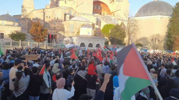 Демонстрация в поддержку Палестины в Италии переросла в драку с полицией (ВИДЕО) | Русская весна