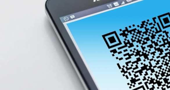 Из поручений Путина уберут пункты про закон о QR-кодах | Русская весна