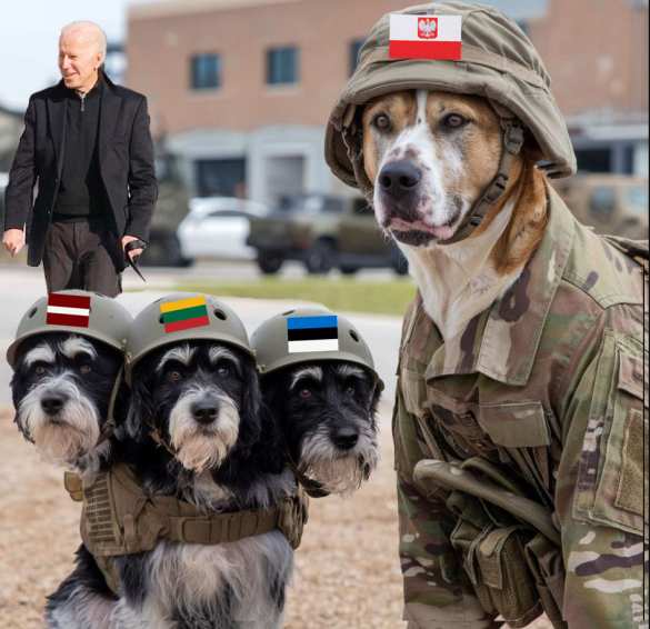 Польша и страны Балтии — поле боя для НАТО | Русская весна