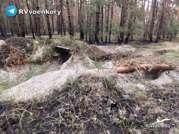 «Отважные» выбили ВСУ из укрепрайона на северском направлении (ФОТО) | Русская весна