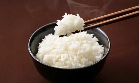 Глава Минсельхоза Японии подал в отставку после высказывания о рисе | Русская весна