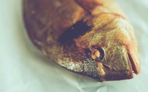 Французы могут остаться без рождественских угощений — названа причина | Русская весна