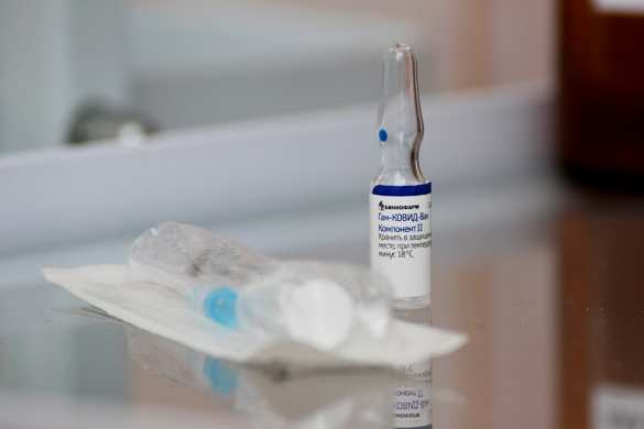 Глава МИД Венгрии объяснил, почему «Спутник V» не признан в ЕС | Русская весна