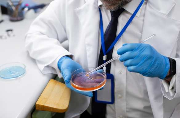 Россия и Индонезия создадут лекарства из редких тропических растений | Русская весна