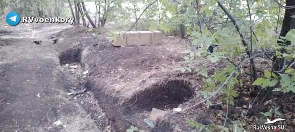 Наступление на Северск: «Отважные» развивают успех (ФОТО) | Русская весна