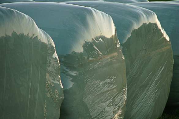 Учёные раскрыли секрет природной аномалии в Антарктиде | Русская весна