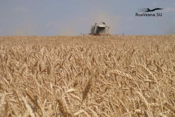 ЛНР отправила первую партию зерна на экспорт по железной дороге (ВИДЕО) | Русская весна