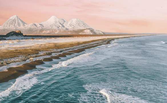 Учёные назвали самую вероятную версию загрязнения побережья на Камчатке | Русская весна