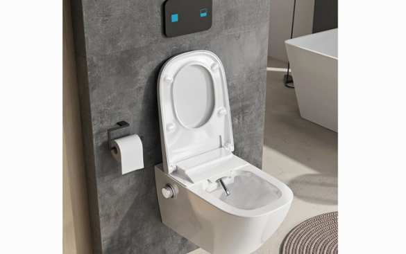 Покупать или нет унитаз с функцией биде | Русская весна