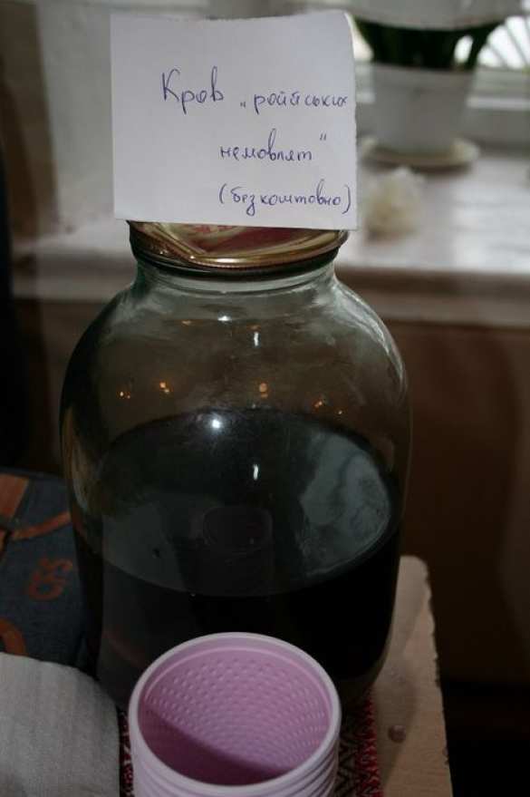 Здоровые силы Николаева возмущены "Кровью русских младенцев" и "Танками на Москву" | Русская весна