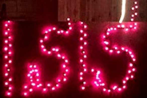 В США мужчина выложил новогодней гирляндой на доме аббревиатуру ИГИЛ (ФОТО) | Русская весна