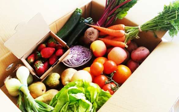 Вкус жизни: почему натуральное – это не просто модный тренд, а необходимость | Русская весна