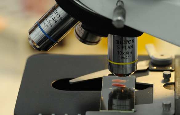 Уникальный метод диагностики по красным кровяным клеткам открыли в  Новосибирске | Русская весна