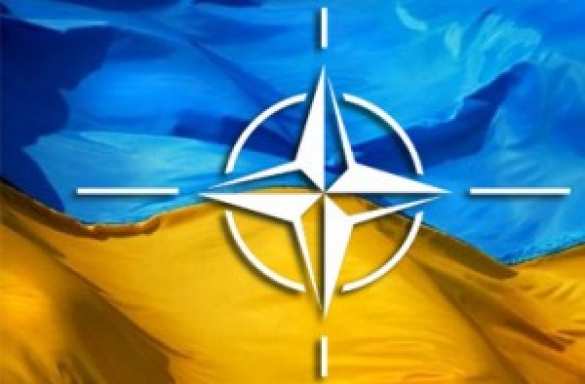 Военный эксперт И.Ю.Коротченко: США и НАТО способствуют восстановлению военного потенциала Украины и являются одной из сторон вооруженного конфликта | Русская весна