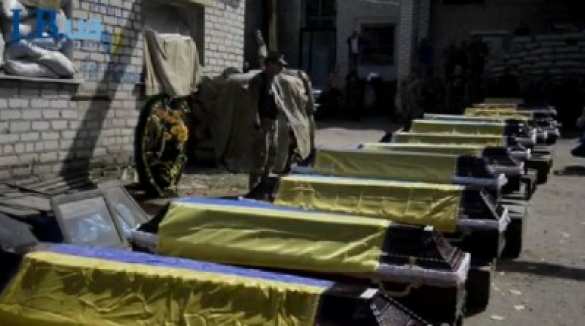 В Житомир доставили 70 тел погибших военнослужащих из-под Красного Луча и Антрацита | Русская весна