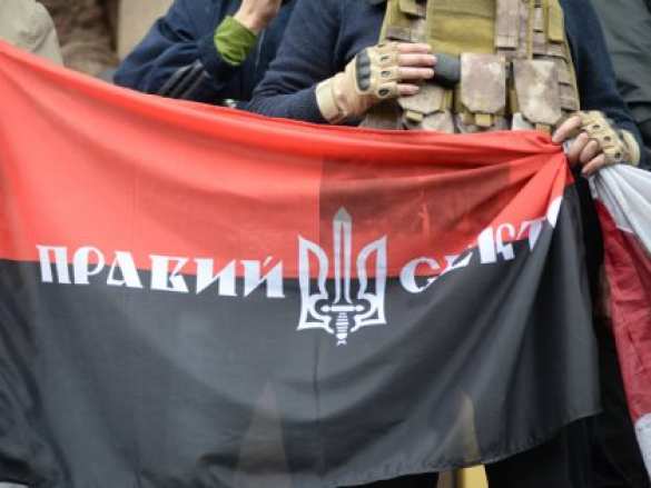 Представители Самообороны и «Правого сектора» пикетируют ГПУ с требованием люстрации | Русская весна