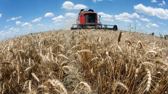 Monsanto in Ukraine: IMF loan for Ukraine may give GMO giant a backdoor into EU | Русская весна