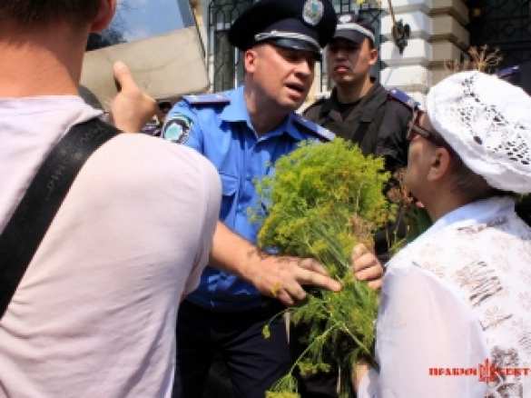 Одесса, 5 августа: снова митинги и столкновения, активисты Антимайдана рвут на свидомых антипутинские майки (фото, видео) | Русская весна