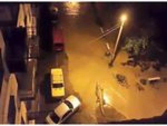 В результате наводнения в Тбилиси из местного зоопарка сбежали львы, волки, медведи и крокодилы (ФОТО) | Русская весна