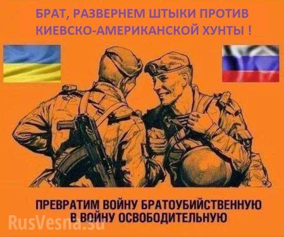МОЛНИЯ: «Пропавшие» украинские десантники пересекли границу, чтобы «побрататься» с российскими морпехами (+ВИДЕО) | Русская весна