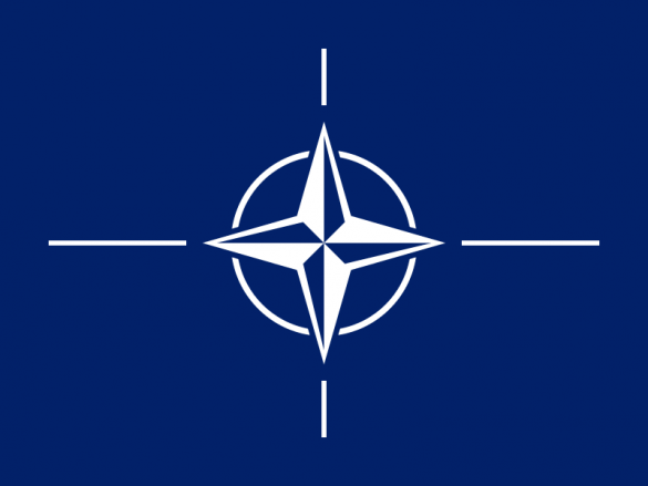 Замминистра обороны США прибыл на Украину, чтобы помочь зачистить юго-восток до инаугурации Порошенко  | Русская весна