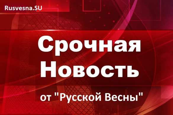 Зеленский: «Мы должны остановиться там, где мы сейчас находимся» (ВИДЕО) | Русская весна