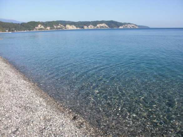 Детей-сирот из ДНР отправили на отдых в Абхазию | Русская весна