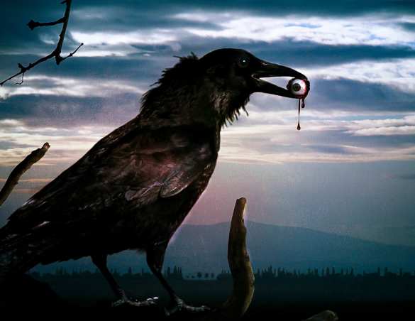 Вымрет 20% украинцев: неутешительный прогноз ООН | Русская весна