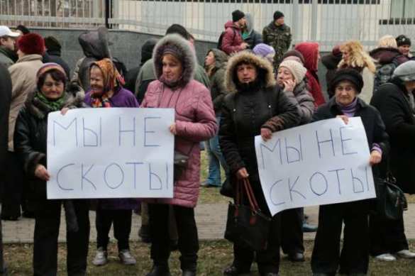 В День Дурака протестующие под посольством США в Киеве мычали, блеяли и ели капусту под лозунгами: «Мы не скоты!» | Русская весна