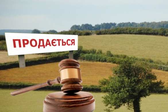 Лучше распродать Чехию по кускам на аукционе! — на Украине ответили президенту Земану | Русская весна